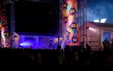 A singer performing on stage to a crowd.