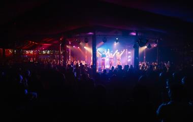 A group of performers holding hands on stage to an audience.